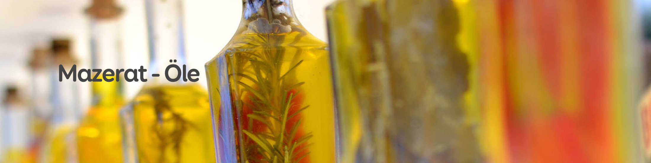 Mazerat Öle Hanfprodukte und mehr Der neue